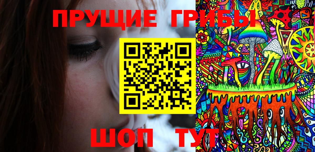 Псилоцибиновые грибы мухоморы  Вход с VPN  Куйбышев  Псилоцибиновые грибы Cubensis 